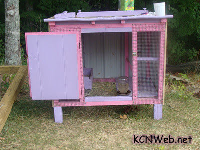 small chicken coops chicken coops 34138 chicken coop005 jpg chicken co 