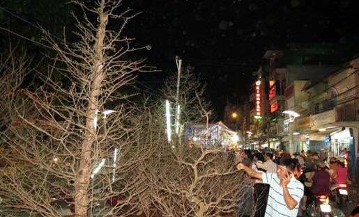 mai 'khủng'; Cần Thơ; nửa tỷ