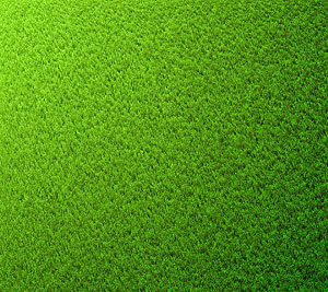 Iphone スマホ スマートフォン 無料 壁紙 芝生 長い