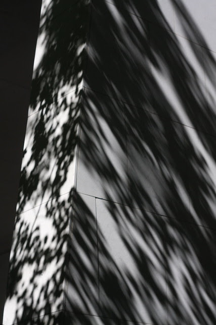 fall shadows, wells fargo datacenter