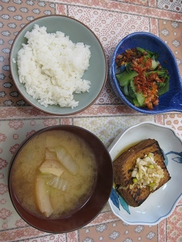 決めた 退職して生活変えよう ボンビーガール ギャル曽根はすごい ねぎの薬味