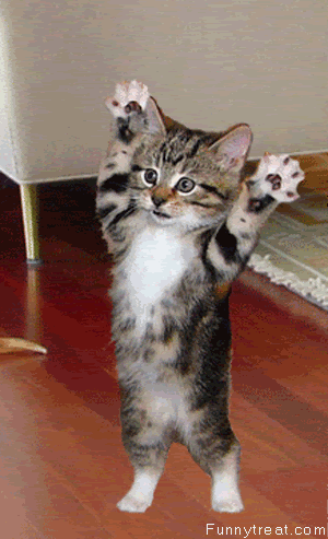 funny animated gifs. funny animated gifs. funny