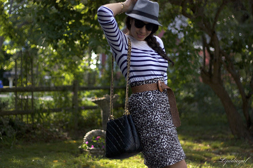 Stripes and Leopard