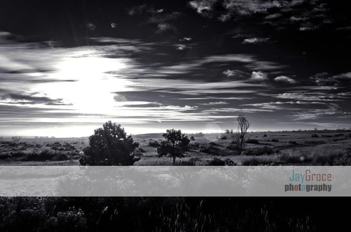 Jay Groce - Photographer