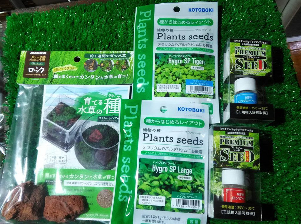 種から育てる新しいタイプの水草 熱帯魚 アクアリウム情報マガジン