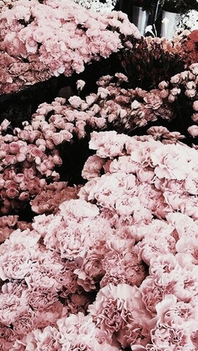 Aesthetic Rose Gold Iphone Wallpapers