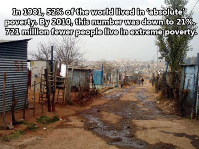 Amazing Insights into the Human Race