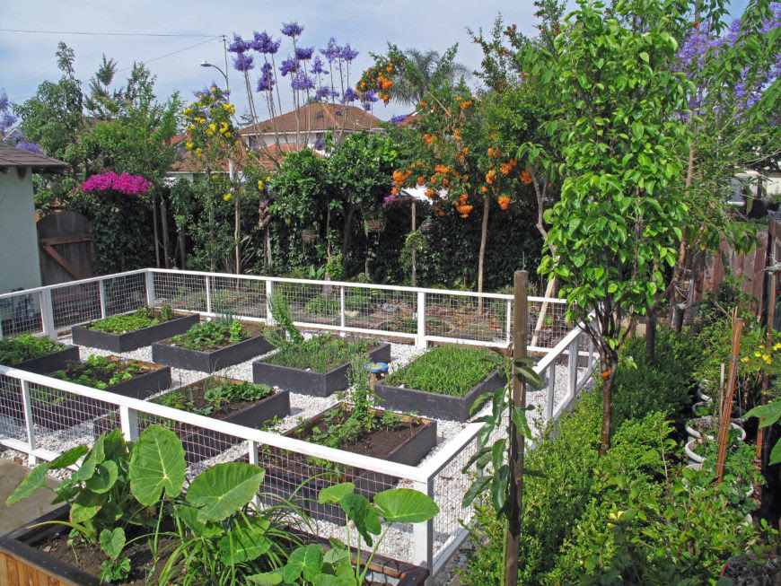 41 Backyard Raised Bed Garden Ideas