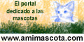 Amimascota.com, Todo para tu mascota