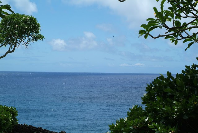 hana2