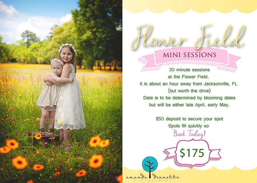 Jacksonville Fl Family Photographer Flower Field Time Amanda Dennette Photography