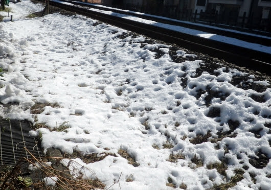 雪の溶け方 かかしさんの窓