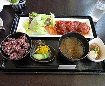 Natural Style 清sei ヘルシーチキンハンバーグセット 高田馬場グルメ 高田馬場でランチやディナー 東京 新宿区