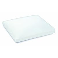 Sleep Innovations Memory Foam Micro Cushion Grande Pillows - 2 Pack