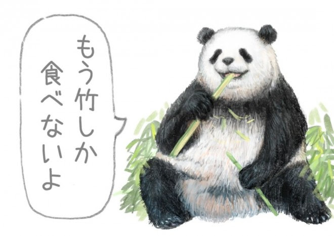 ベスト リアル パンダ イラスト 簡単 最高の壁紙のアイデアcahd