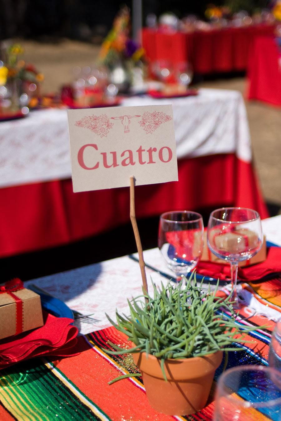 Mexican Fiesta Theme Wedding