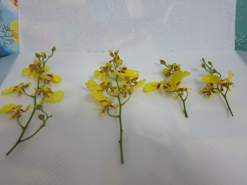 Flowers Pressing
