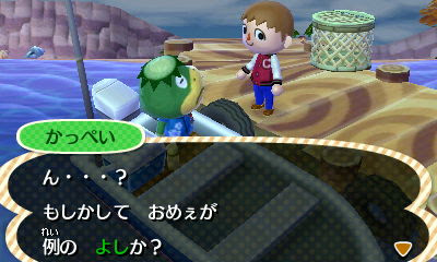 とびだせどうぶつの森 南の島へgo とびだせどうぶつの森 ななむら日記