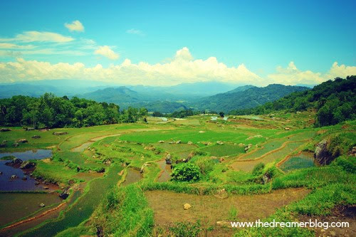 Toraja Batutumonga Lokomata Bori Pallawa Toraja Batutumonga Lokomata Bori Pallawa