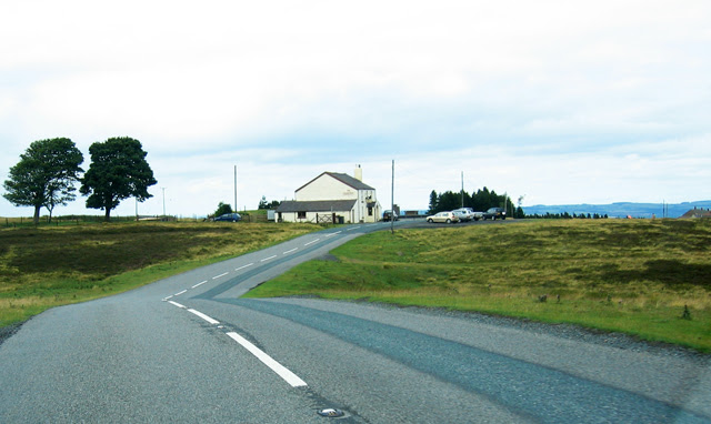 the moorcock