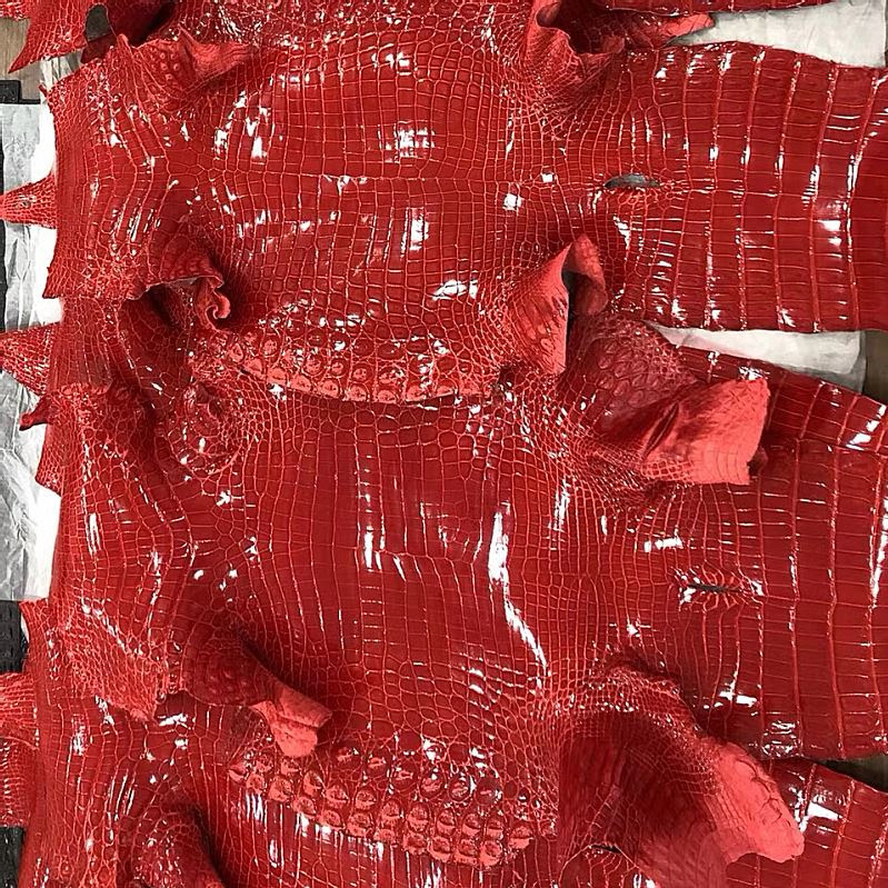 How Expensive Is Crocodile Skin - Close Saltwater Crocodile Emerges Water Toothy Stock Photo ... / Production only 40 days 5 skins per color.