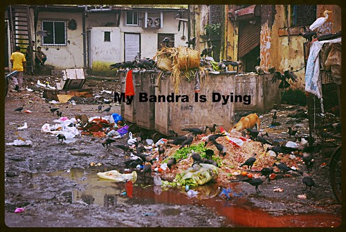 My Bandra Is Dying by firoze shakir photographerno1