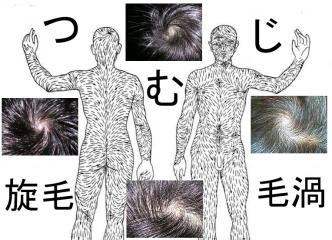 ミナト３７１０ 実践クリニック つむじについて教えて