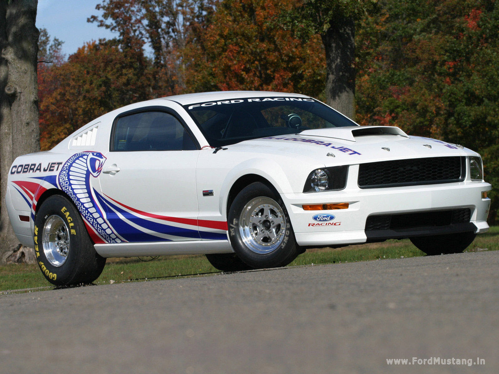 2010 Ford Mustang Cobra Jet