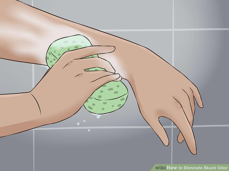 Eliminate Skunk Odor Step 3 Version 2.jpg