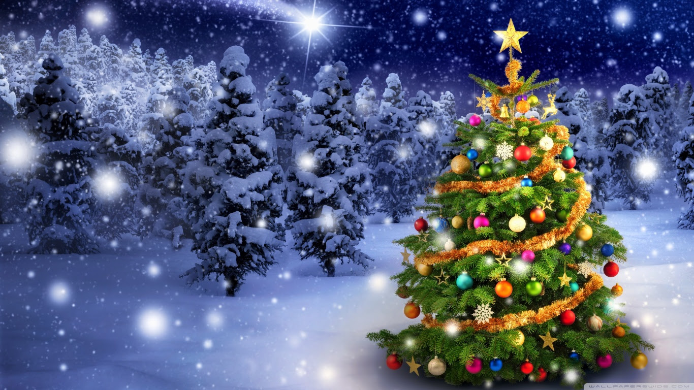 Beautiful Outdoor Christmas Tree ❤ 4K HD Desktop Wallpaper for 4K
