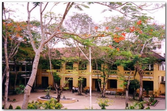 nhu-chiec-la-bay