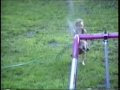 Sprinkler Kid Sprinkler Kid