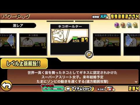 にゃんこ大戦争 ネコジャンパー