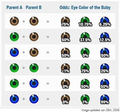  baby eye color probability chart maybe baby pinterest