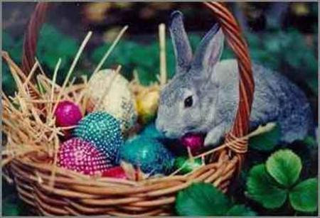 conejos-pascua-jpg.jpg