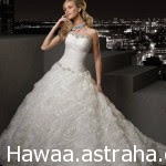 1507838_462528980517626_850207111_n