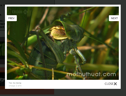 Light box - mothuthuat.com