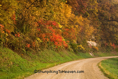 Autumn Gravel Road Scene, Richland County, Wisconsin