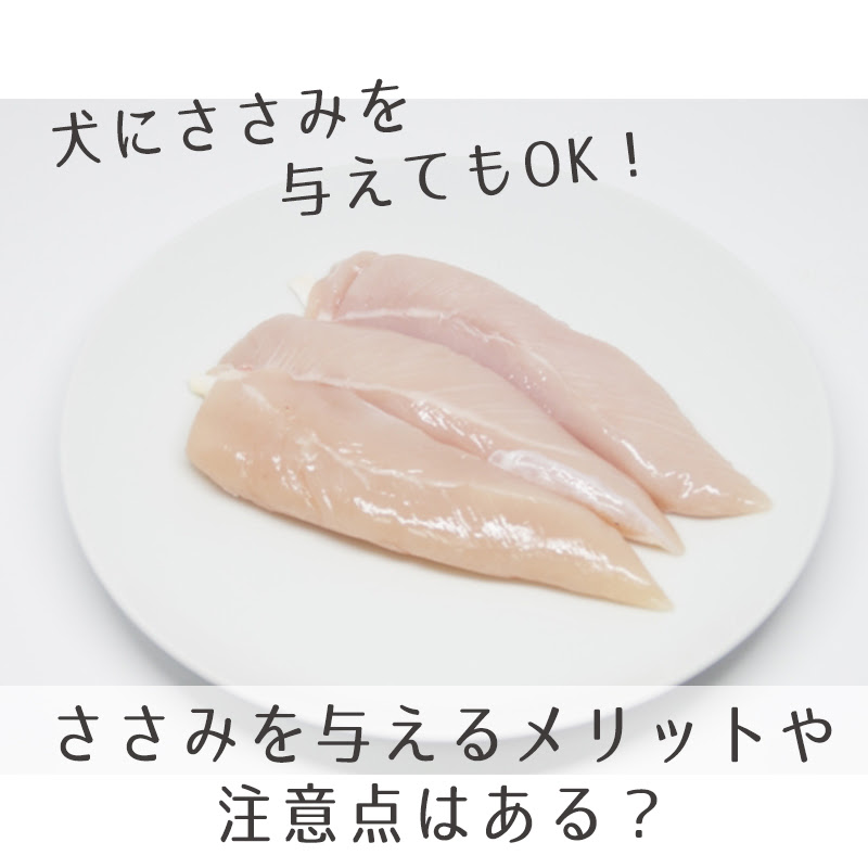 犬にささみを与えてもok ささみを与えるメリットや注意点はある