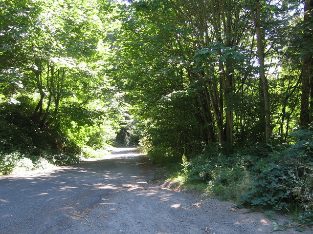 The Road to Kelly Butte