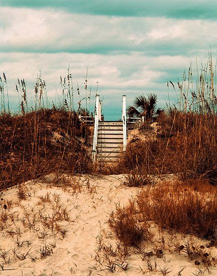 To the beach? From the beach?