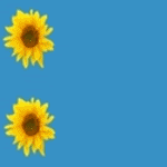 Ellen's banner