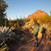 Desert Botanical Gardens