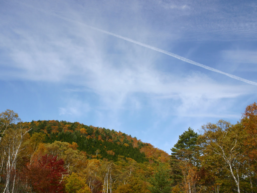 飛行機雲と紅葉 写真素材無料壁紙