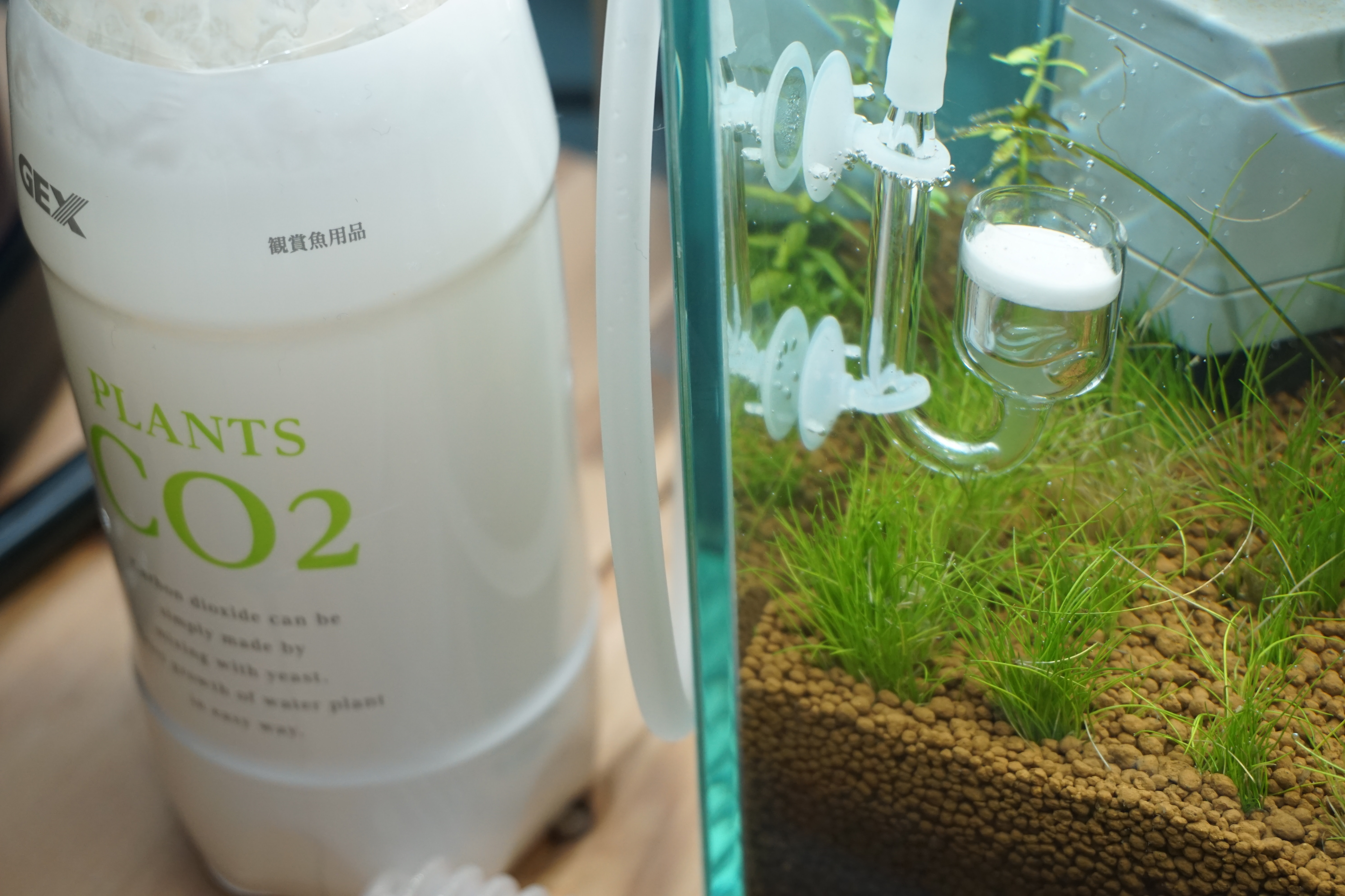 最新エルメス Co2添加器具セット アクアリウム 魚用品 水草 Orointegrated Coop