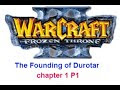 Warcraft III Frozen Throne,The Founding of Durotar Chapter 1   P1