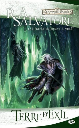 Terre natale de R.A. Salvatore - Les Royaumes Oubliés : La Légende de Drizzt, tome 2