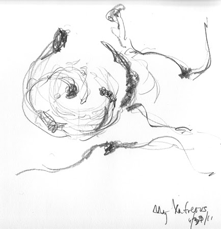 Furious Dreams - art blog by Victoria Webb a life in paint, design 