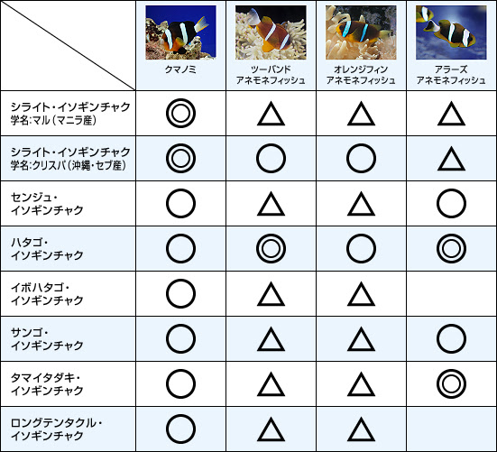 クマノミとイソギンチャクの相性チャート クマノミにまつわるエトセトラ 熱帯魚のことなら みずものコム