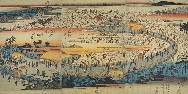 亀戸天神社の梅の花 写真紀行